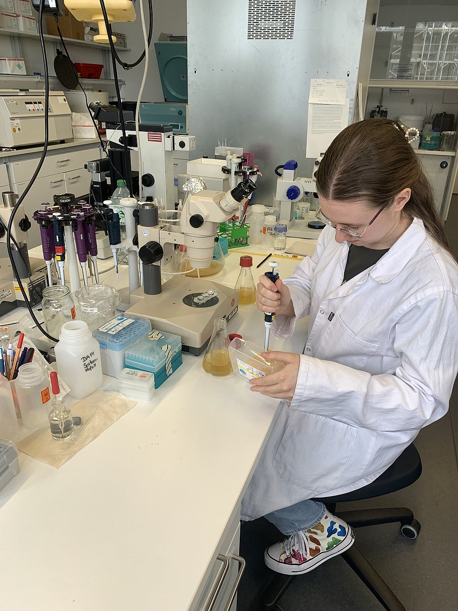 Die Praktikantin Ida sitzt an einem Labortisch und pipettiert etwas.