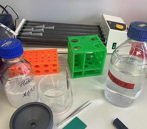 Auf einem Labortisch stehen Glasgefäße mit klaren Flüssigkeiten, andere Arbeitsmaterialien wie Pinzetten und ein Stift und im Hintergrund steht ein Gerät, das kleine Reagenzgefäße rotierend durchmischt.